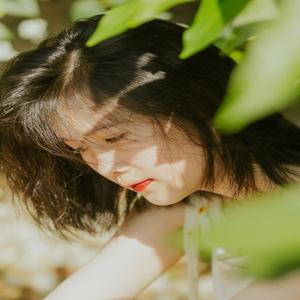 菱千萍